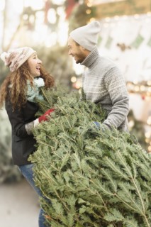 Couple hauling tree at Christmas tree farm
