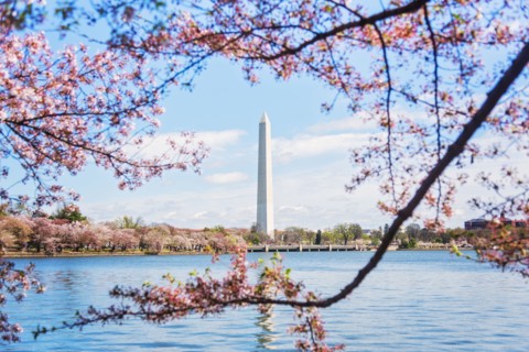 Distant Washington Monument
