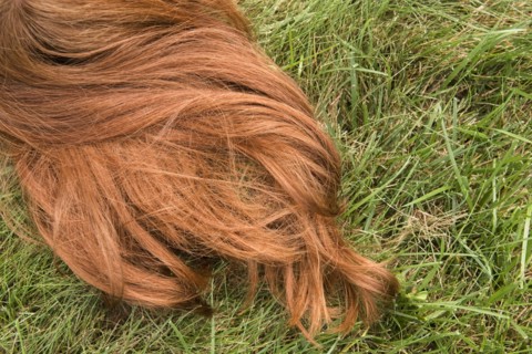 Red hair of Caucasian girl laying in grass