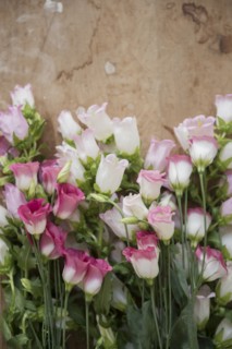 Flowers laying on wooden table