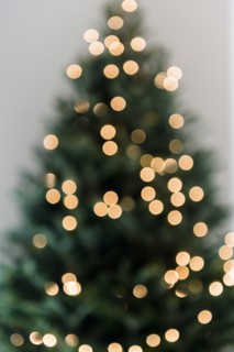 Defocused Christmas tree