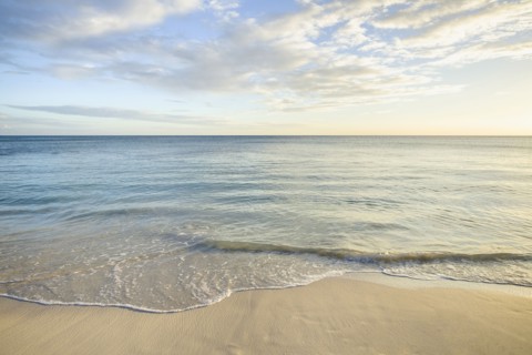 Ocean wave on beach
