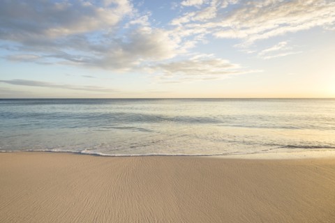 Ocean wave on beach