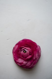 Red flower on table