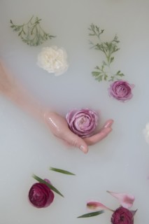 Hand of Caucasian woman in milk bath with flowers