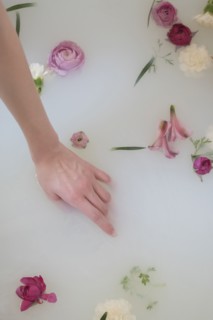 Hand of Caucasian woman in milk bath with flowers