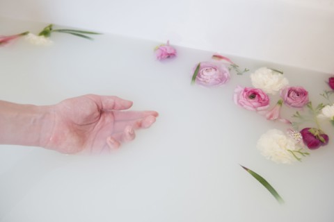 Hand of Caucasian woman in milk bath with flowers