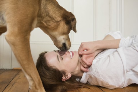 Dog licking nose of Caucasian woman laying on floor