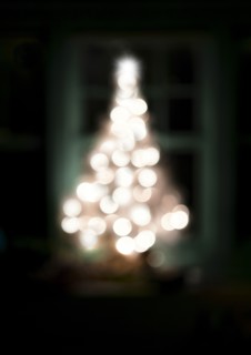 Defocused illuminated Christmas tree at night