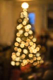 Defocused illuminated Christmas tree at night