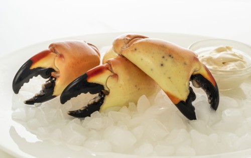 Three stone crab claws on ice with sauce