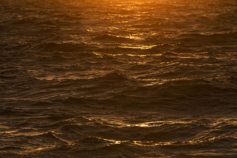 Sunlight reflected in sea waves at sunrise