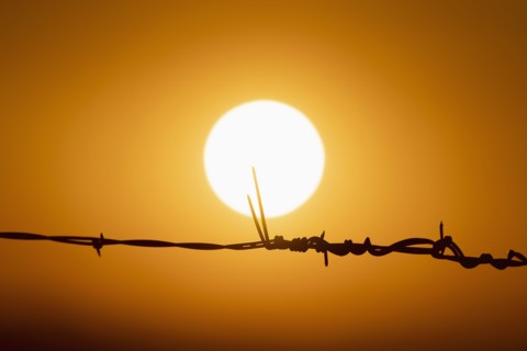 Sun setting against orange sky