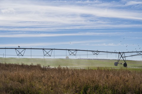 Irrigation system in field