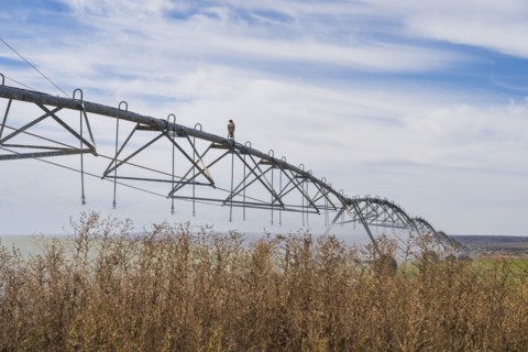 Irrigation system in field
