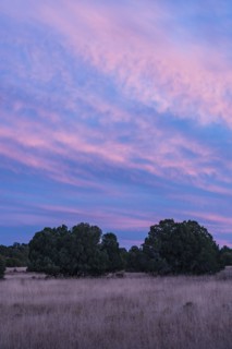 Sunset sky above calm landscape in Gila National Forest