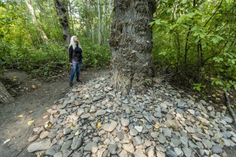 Woman looking at tree