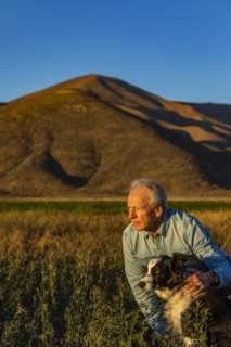 Senior man with border collie in field at sunset
