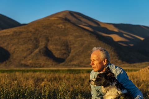Senior man with border collie in field at sunset