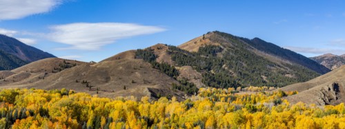 Forested hills in Autumn