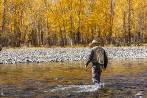 Rear view of senior fisherman