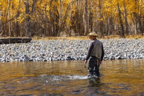 Rear view of senior fisherman