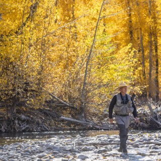 Senior fisherman wading in Big Wood River in Autumn