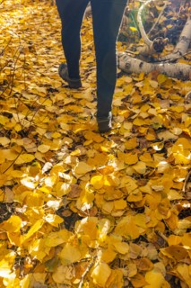 Legs of woman walking on footpath