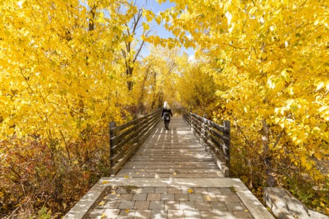 Rear view of woman walking