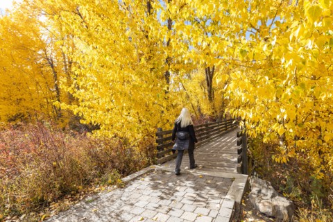 Rear view of woman walking