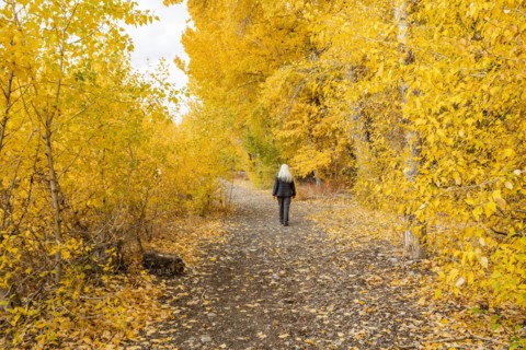 Rear view of woman walking