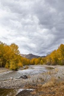 Big Wood River and yellow Autumn trees