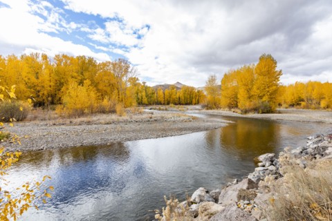 Big Wood River and yellow Autumn trees
