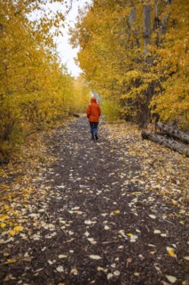 Rear view of woman walking on footpath