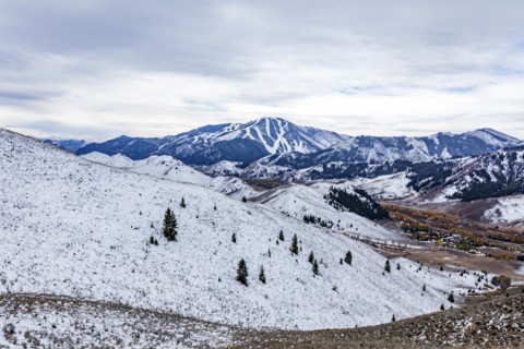 Snow covered hillside