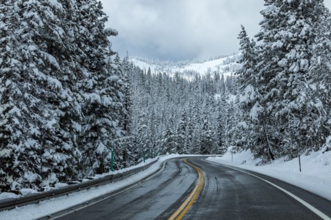 Road through snowy forest