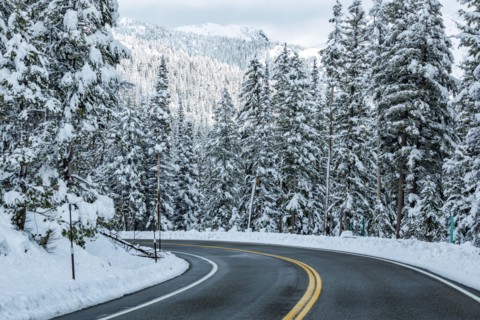 Road through winter forest