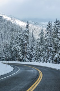 Road through winter forest