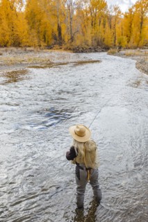 Senior woman fly-fishing