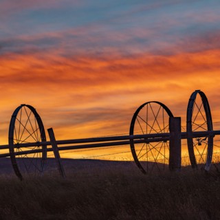 Silhouette of irrigation wheels in field at sunset