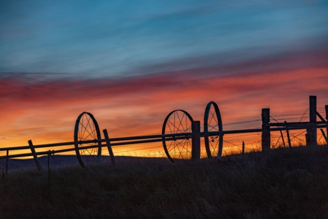 Silhouette of irrigation wheels in field at sunset