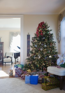 Christmas tree and presents in living room