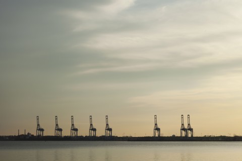 Shipping cranes in harbor at sunset