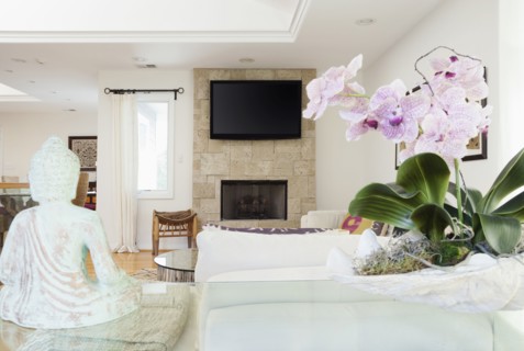 Orchids and Buddha statue in living room