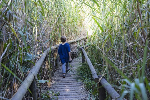 Boy walking on boardwalk