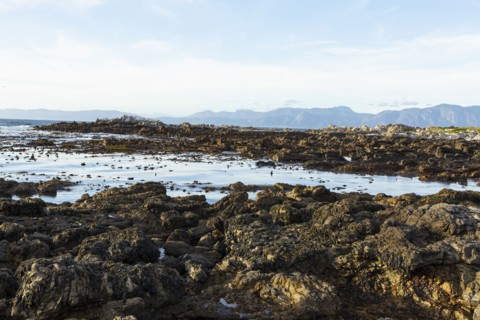 Rocky sea shore