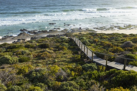 Wooden bridge to beach