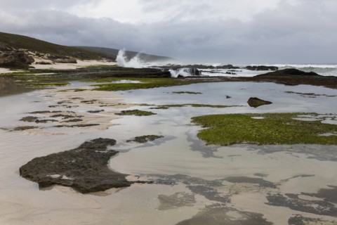 Coastline and tidal pools