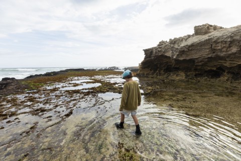 Boy exploring tidal pools
