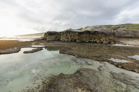 Coastal rock formations